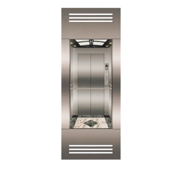 Rear Wall Sightseeing Elevator with Upper/Lower Shades